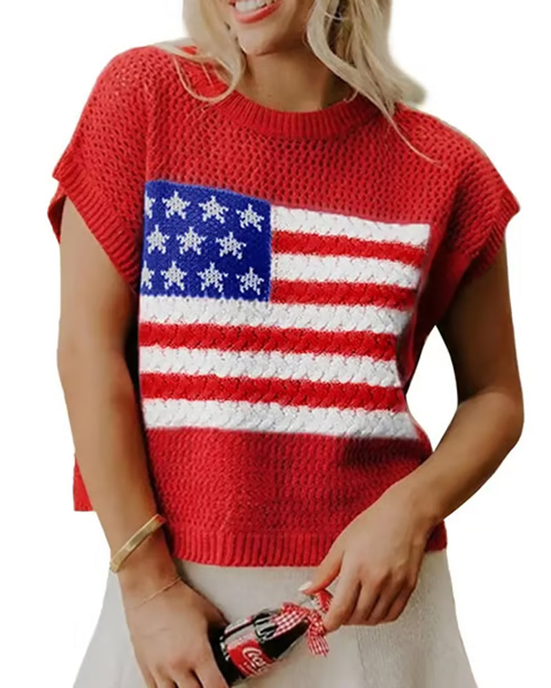 Pullover Vlagpatroon Crewneck