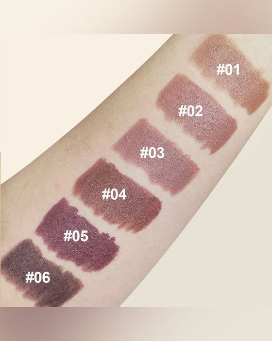 Fluweel Matte Zijde Textuur Hoog Pigment Lippenstift